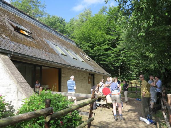 IMG_4993