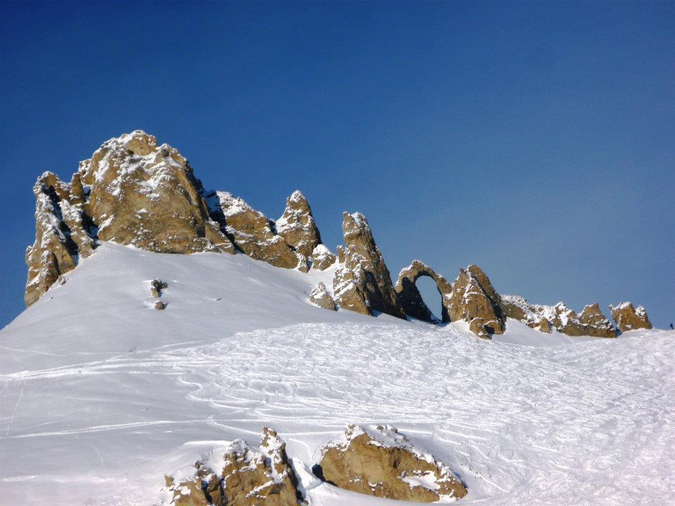 425958_10150538884987475_545702474_9021904_1444271785_n