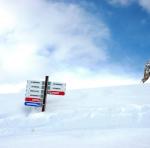 431446_10150538879597475_545702474_9021841_440554605_n