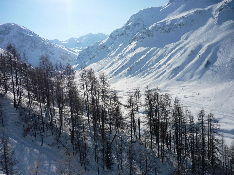 431677_10150538886382475_545702474_9021918_2081117978_n