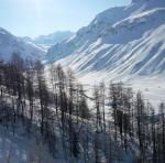 431677_10150538886382475_545702474_9021918_2081117978_n