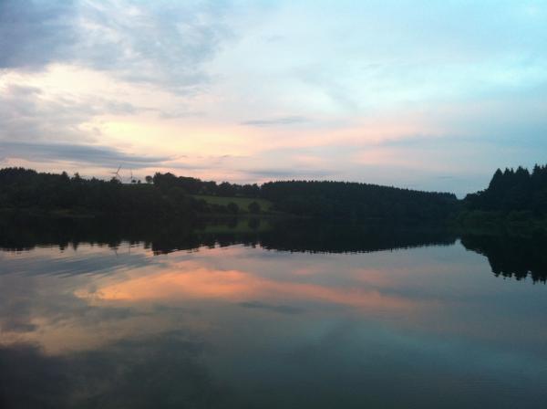 IMG_3581