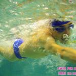 PB260109